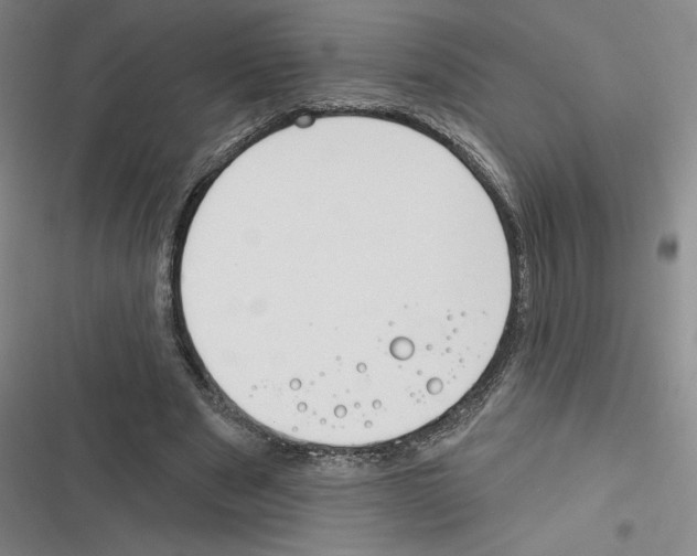 X0000116380489201001131811