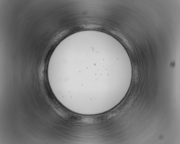 X0000116380490201001131811