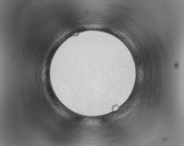 X0000116380491201001131811