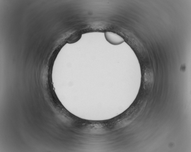 X0000116380492201001131811