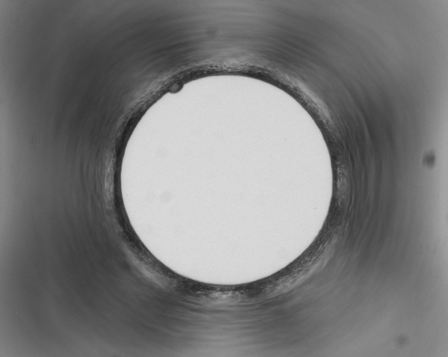 X0000116380493201001131811