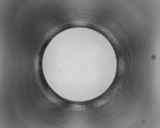 X0000116380494201001131811