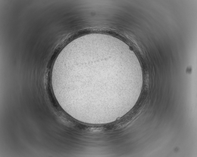 X0000116380495201001131811