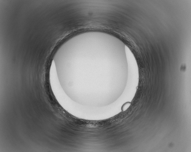 X0000116380496201001131811