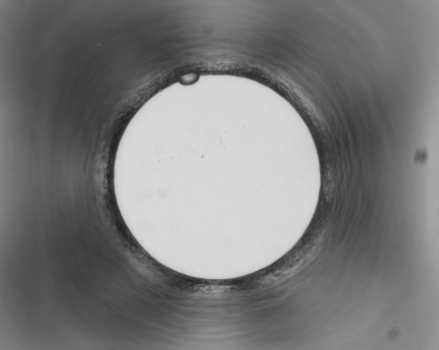 X0000116380497201001131811