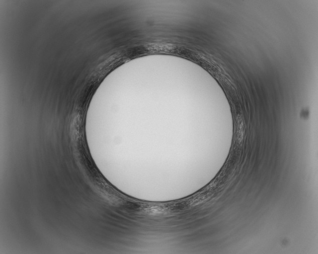X0000116380498201001131811
