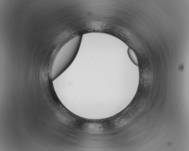 X0000116380500201001131811