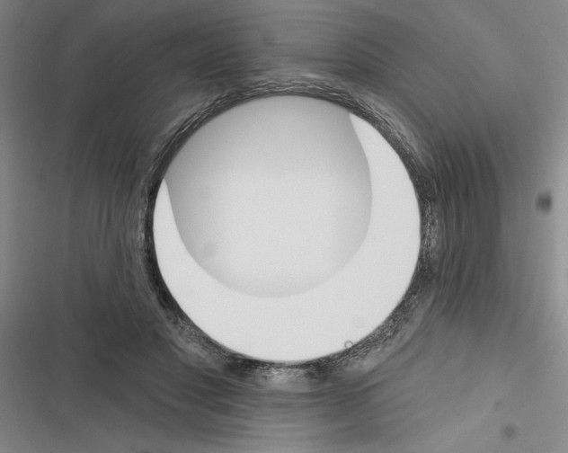 X0000116380501201001131811