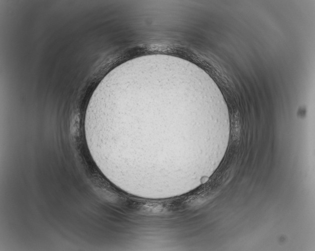 X0000116380502201001131811