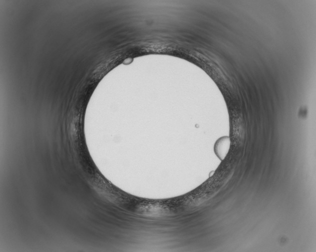 X0000116380503201001131811