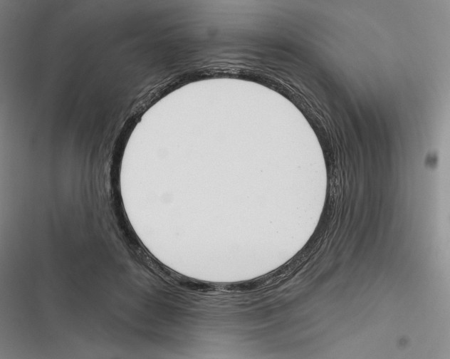 X0000116380504201001131811