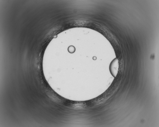 X0000116380505201001131811