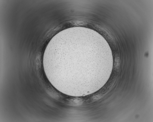 X0000116380506201001131811