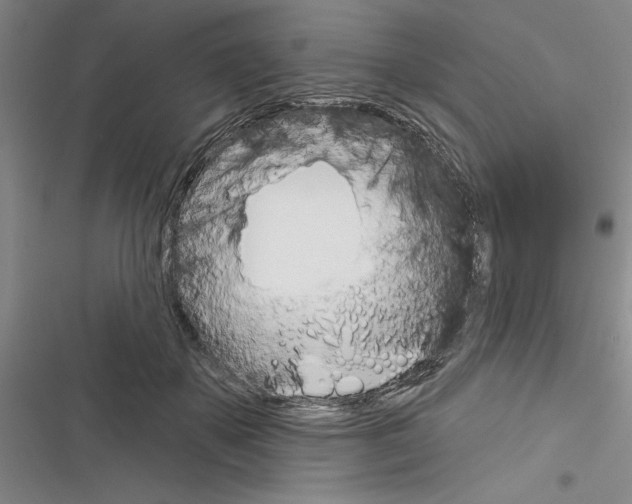 X0000116380507201001131811