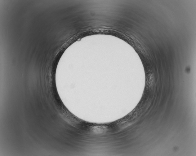 X0000116380508201001131811