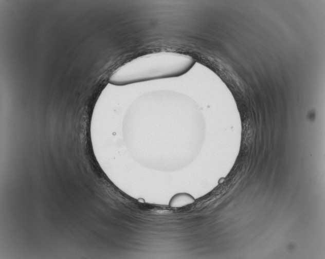 X0000116380509201001131811