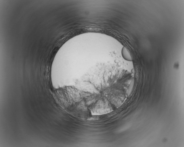 X0000116380511201001131811