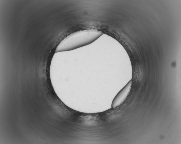 X0000116380512201001131811