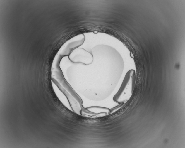 X0000116380513201001131811