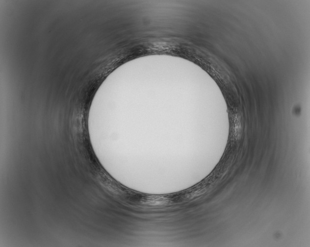 X0000116380514201001131811