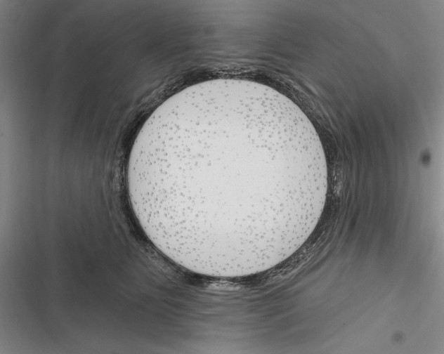 X0000116380515201001131811