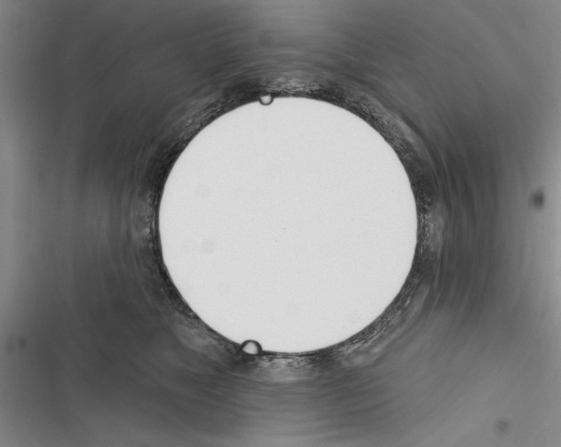 X0000116380517201001131811