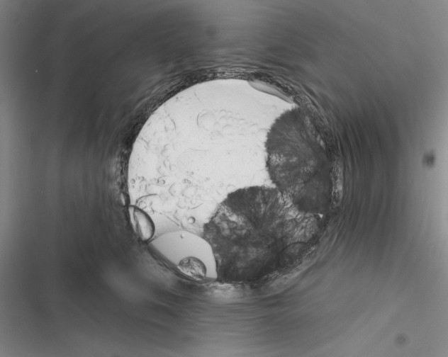 X0000116380519201001131811