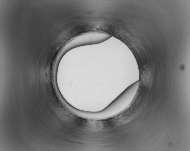 X0000116380520201001131811