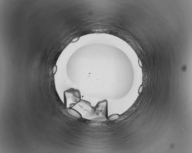 X0000116380521201001131811