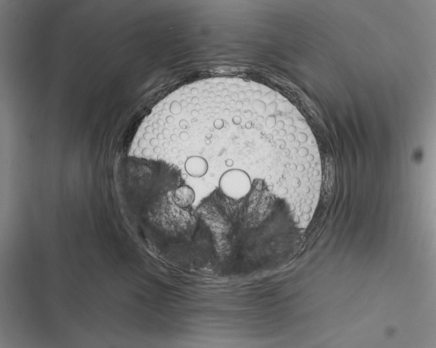 X0000116380523201001131811