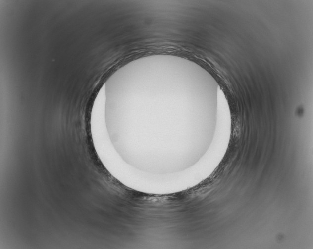 X0000116380524201001131811