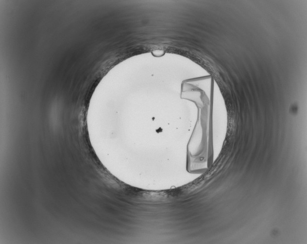 X0000116380525201001131811