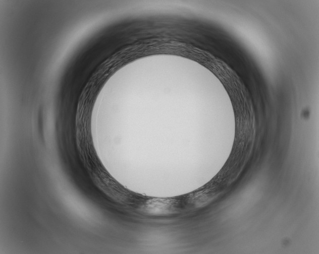 X0000116380526201001131811
