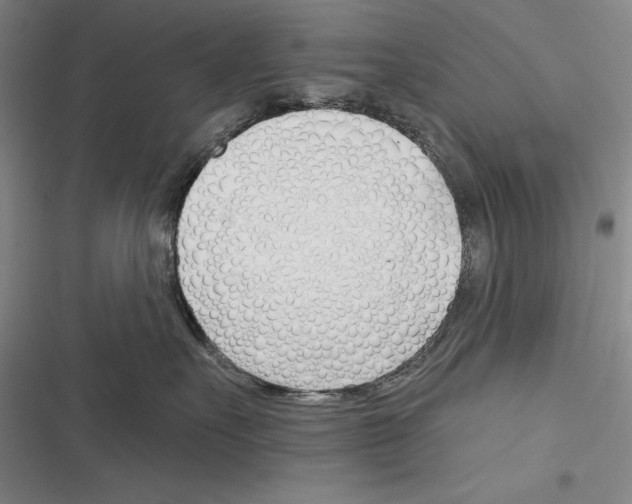 X0000116380527201001131811