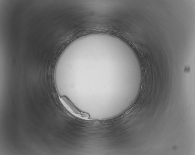 X0000116380528201001131811