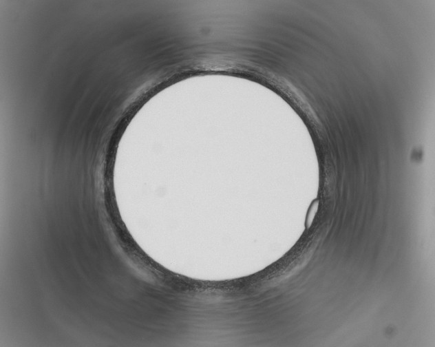 X0000116380530201001131810