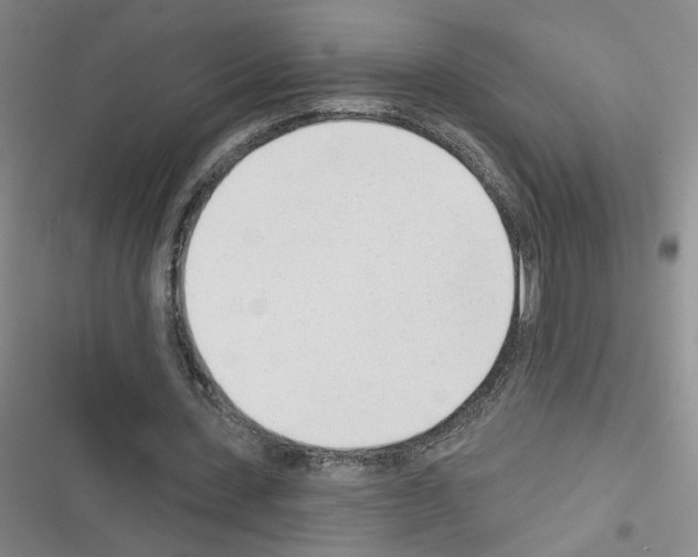 X0000116380531201001131810