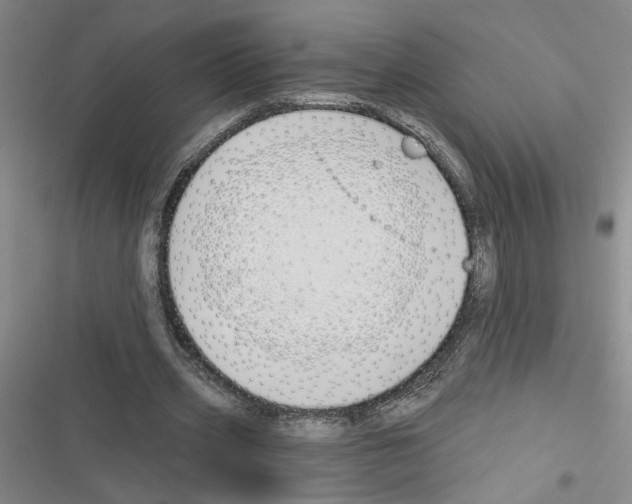 X0000116380533201001131810