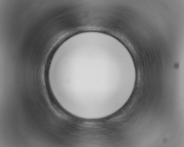 X0000116380534201001131810