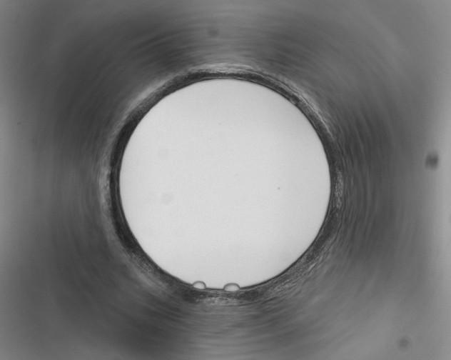 X0000116380535201001131810