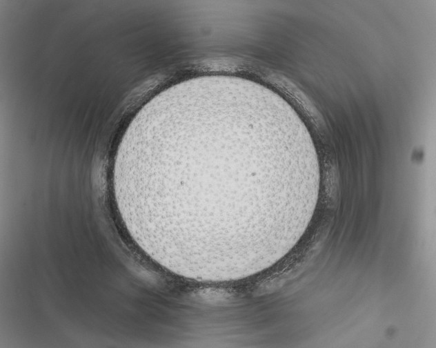X0000116380537201001131810