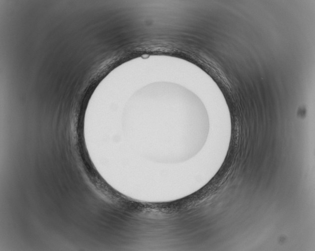 X0000116380538201001131810