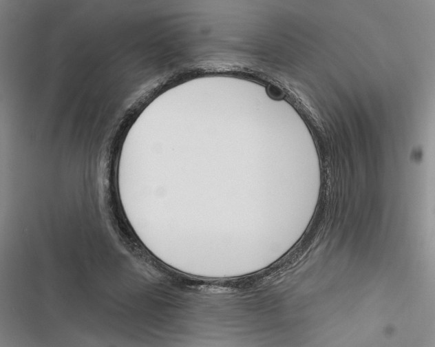 X0000116380539201001131810