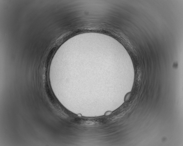 X0000116380542201001131810
