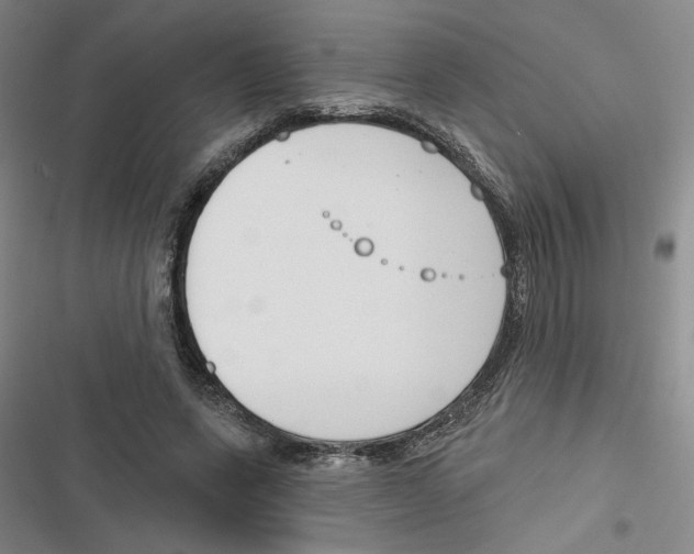 X0000116380543201001131810