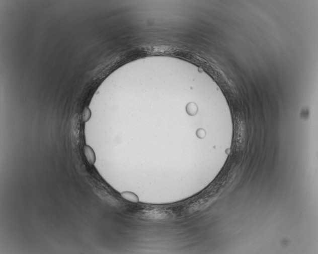 X0000116380545201001131810