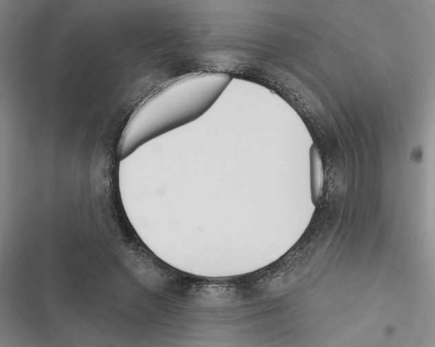 X0000116380546201001131810