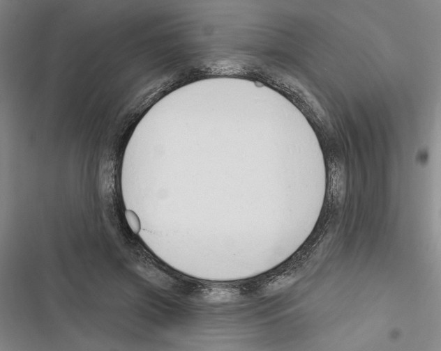 X0000116380549201001131810