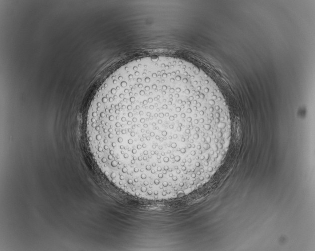 X0000116380550201001131810