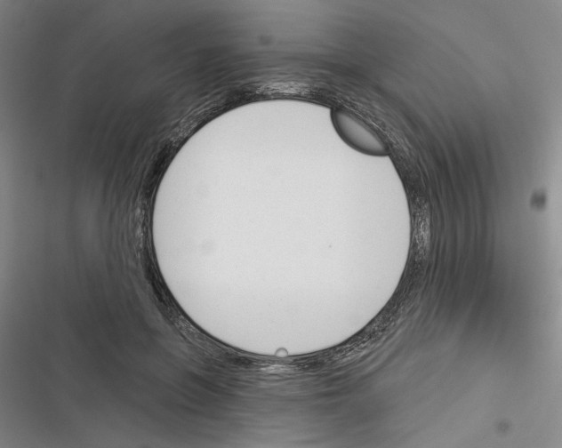 X0000116380551201001131810